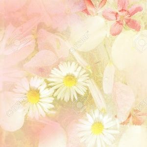 Meet your Posher, Hayley